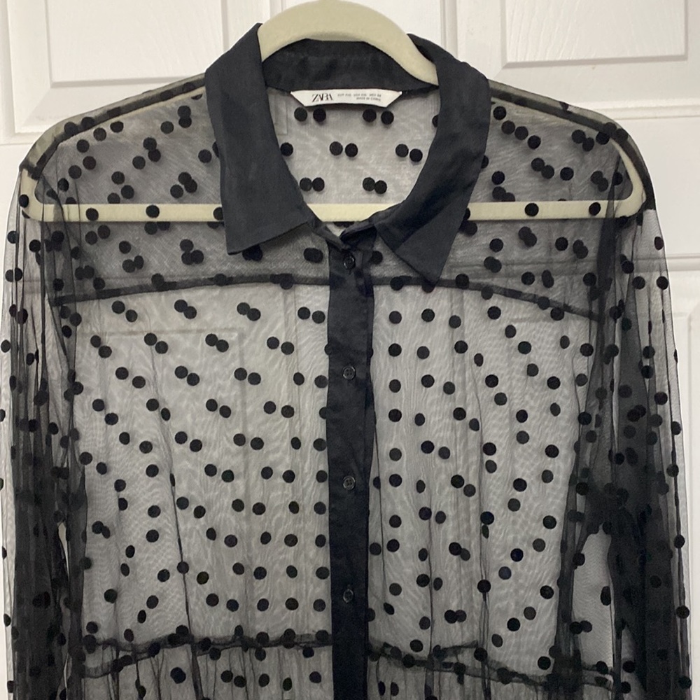 Zara Sheer Dot Midi Collared Long Sleeve - Picture 10 of 16